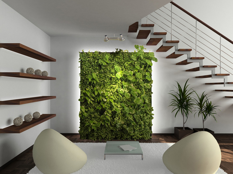 las mejores imagenes de jardines verticales para interiores seleccion de plantas perfectas 